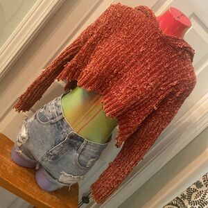 DEE DEE Rusted Orange Cropped Knit Sweater Hoodie